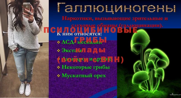 марки lsd Вяземский
