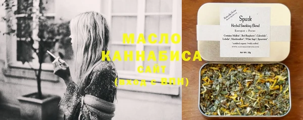 ECSTASY Горняк