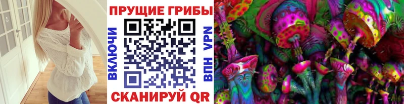 Псилоцибиновые грибы мицелий Дальнегорск